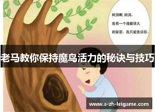 老马教你保持魔鸟活力的秘诀与技巧