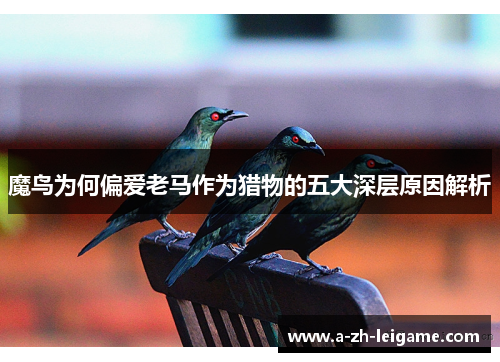 魔鸟为何偏爱老马作为猎物的五大深层原因解析
